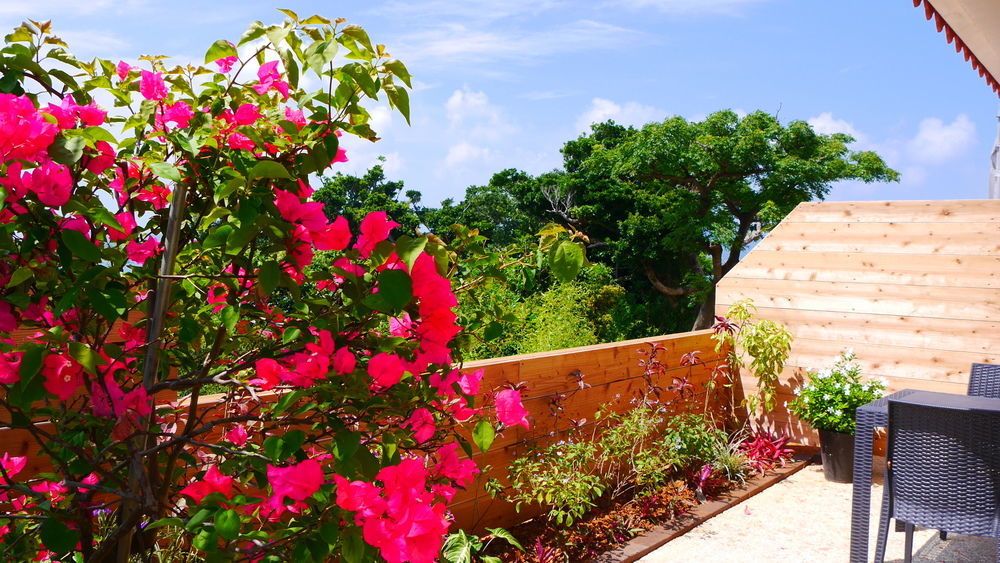 Ocean Hills Kouri Hotel Nakijin Luaran gambar
